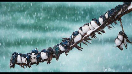 Instrumental Music Beat Background Music The Awakening 2 - FAISAL