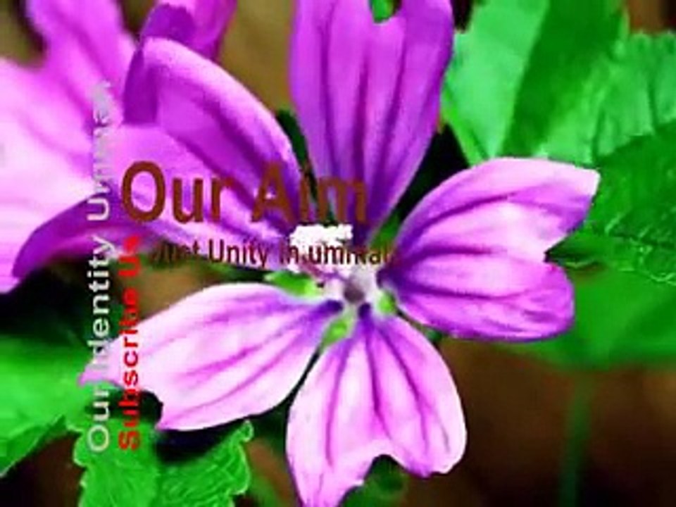 (New)(HD) Lattest Molana Tariq Jamil At Karachi Hall 'Humare Nabi Konsa Aashiq Chahty Hain'