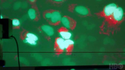 The Immortal Life of Henrietta Lacks