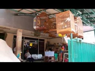 IMS - Pasar Burung Pramuka