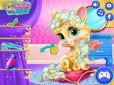 Princess Rapunzels Palace Pet Summer - Kids Games