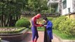 FROZEN ELSA vs EVIL QUEEN & Apple /w Spiderman vs Cinderella Joker gunfight & Captain vs M