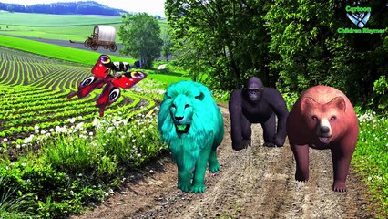 Animals Cartoons Finger Family Children Nursery Rhymes | Animals Finger Family Rhymes for