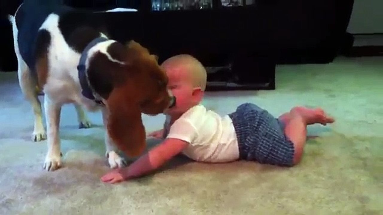 Puppies and Babies 2015 - Funny Dogs and Babies - Cute Dogs And Adorable baby