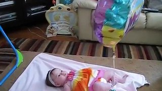 Funny Cute Baby Videos - Funny Dogs and Babies - Cute Dogs And Adorable Babies ..