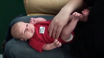 Puppies and Babies 2017 - Funny Dogs and Babies - Most Funny Babies 2015(360p) (1)