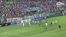 Chapecoense Homenagem