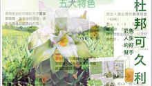 連法