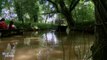 Marais Poitevin: Un observatoire pour étudier la biodiversité