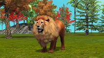 Lion Finger Family Rhymes 3D Animated Top 10 Finger Family Rhymes For Children
