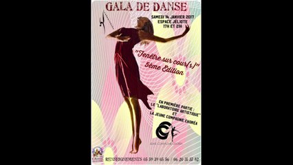 Rétrospective Spectacle "Fenêtre sur cour(s) 5ème Edition" présenté par Terpsichore