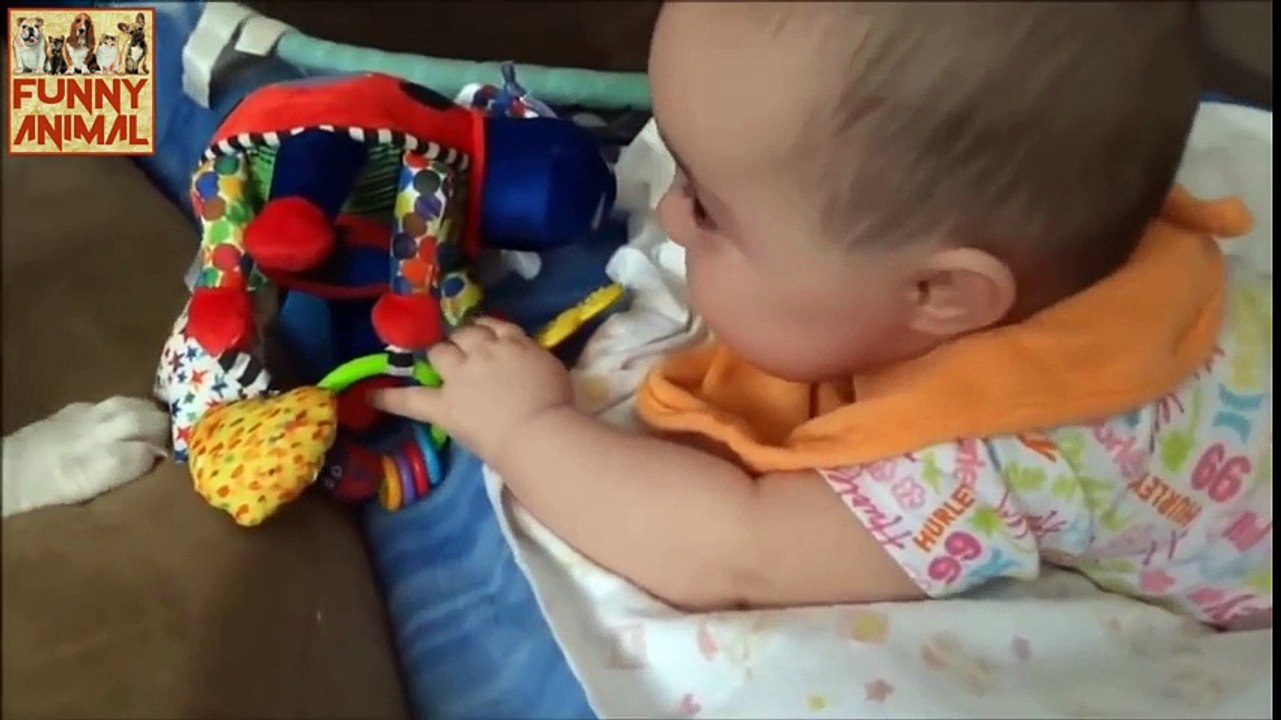 DOG AND BABY! THIS FUNNY VIDEO CRAZY