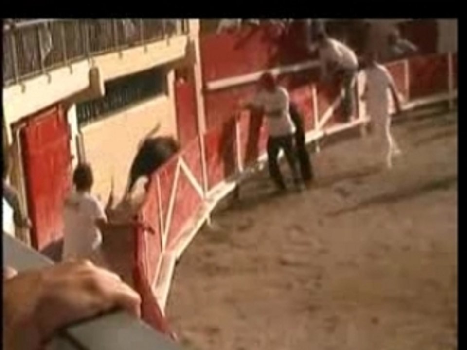 Finale Vaches 2007