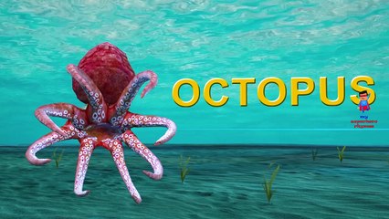 Sharks - Creepy Sea Creature Facts | Mocomi Kids