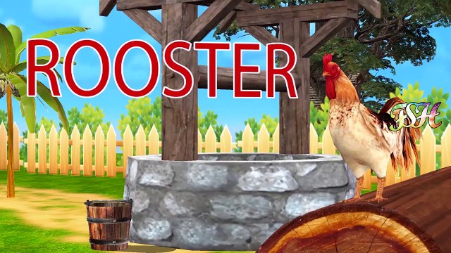 Elephant kill Buffalo , Lion vs Rhino vs Baboon vs Crocodile Vs Monkey Wild Animal Attacks