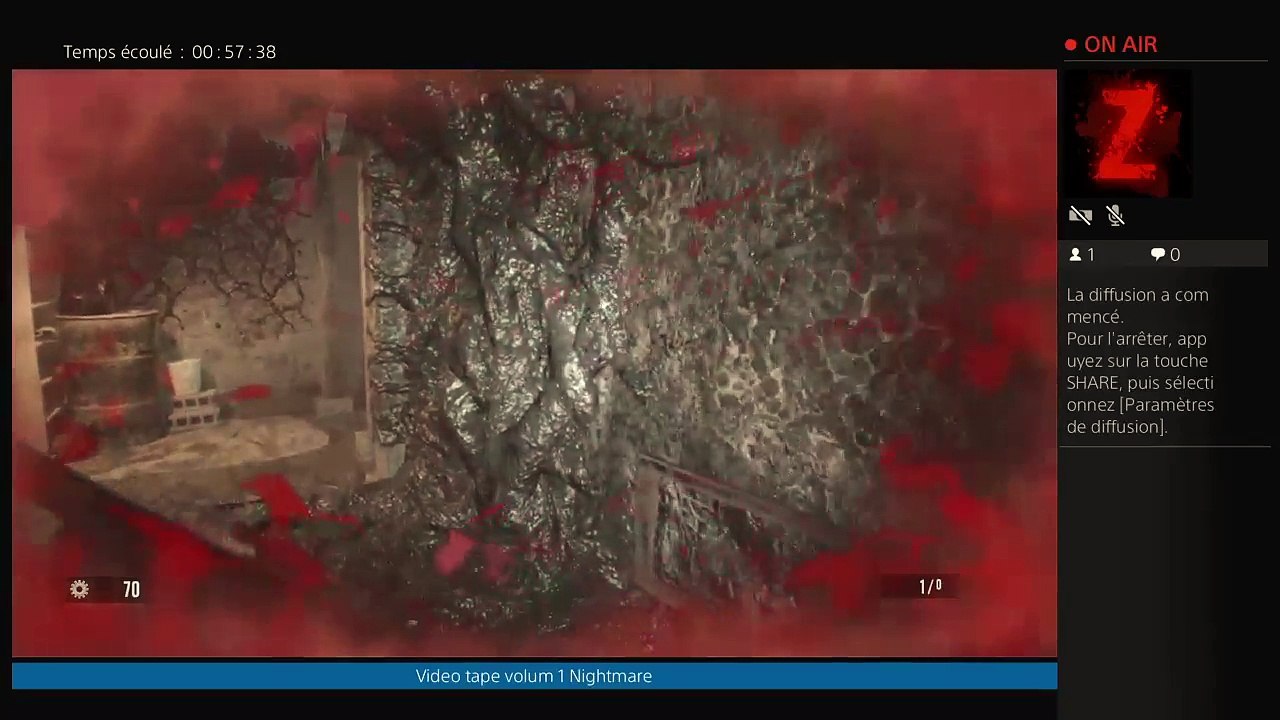 Diffusion PS4 en direct de GIGINAD68 (88)