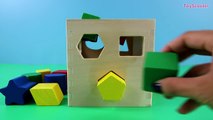 LEARN SHAPES NAMES w Fun Wooden Toy Set – Educational Kids Toddlers ESL