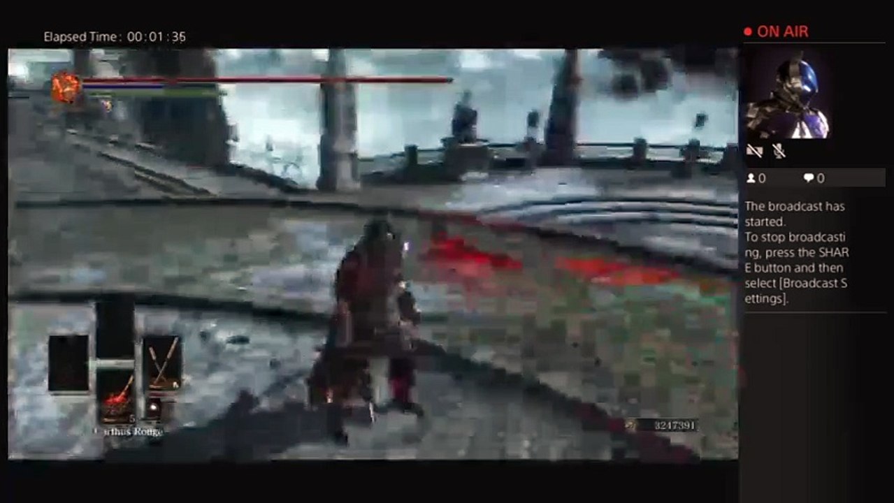 Ds3 immortal