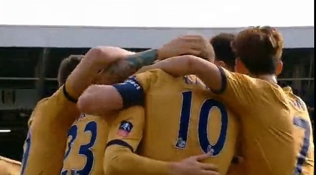 Harry Kane Goal Fulham 0 - 1 Tottenham FA Cup 19-2-2017