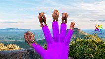 Lion Finger Family | Gorilla, Dinosaurs, Elephant, Tiger & More Animals Finger Family Nurs