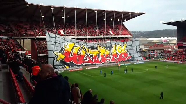 premier tifo standard gand