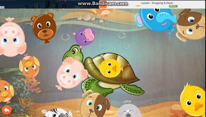 Baby Play Animal Puzzles - Real Video Of The Animals - Educational Game for Toddler