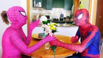 SPIDERMAN vs JOKER TOILET BATTLE w Pink Spidergirl Frozen Elsa Gollum XRay Funny Superhero