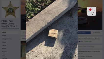 Middle Schooler Confesses to Throwing Wood Block at Trump's Motorcade