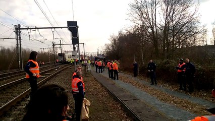 Un mort et plusieurs blesses sur au déraillement du train à Leuven