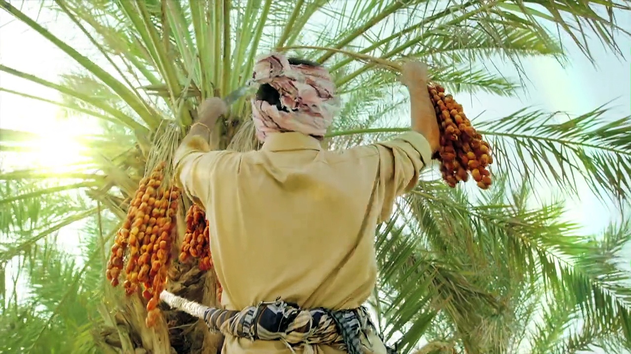 Al Meezan Investments