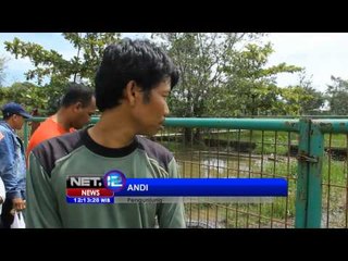 NET12 - Buaya Liar dititipkan Kebun Binatang di Pekanbaru