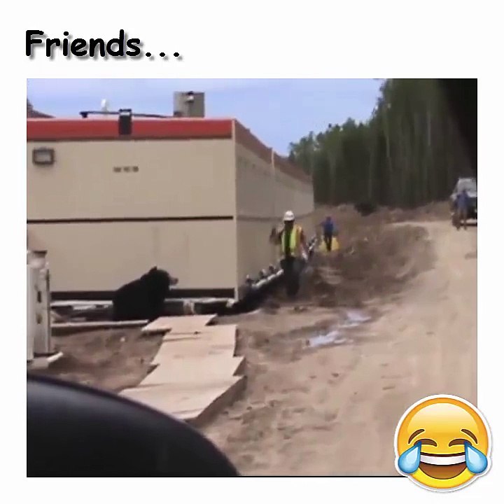 Dikkat Ayu Çıkabir