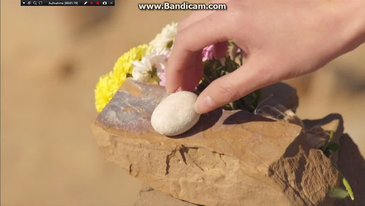 bandicam 2017-02-17 20-22-52-894