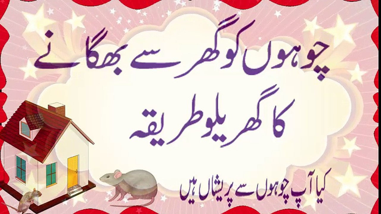 Chuhe Ko Ghir Sa Bhagane Ke Tariqe - کیا آپ چو ہوں سے پریشاں ہیں
