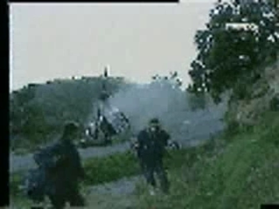 Panizzi Rally Crash