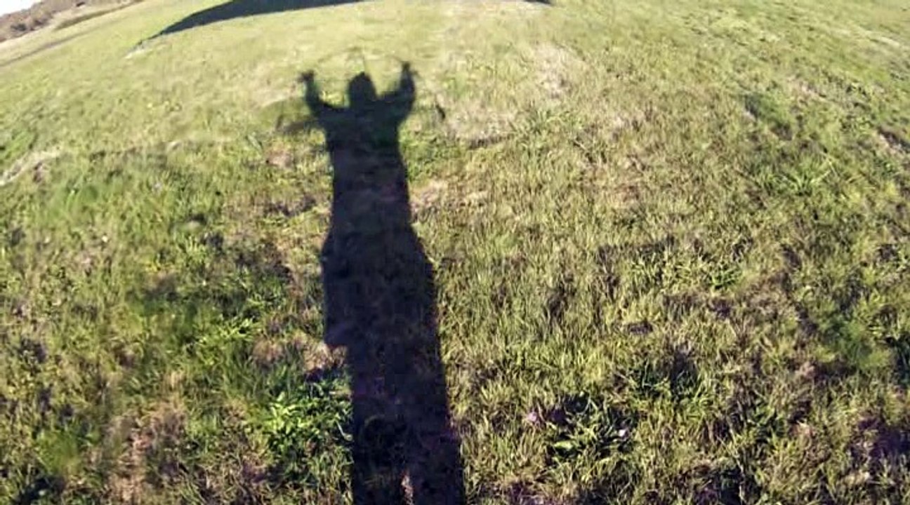 2016 Libre comme l'aire