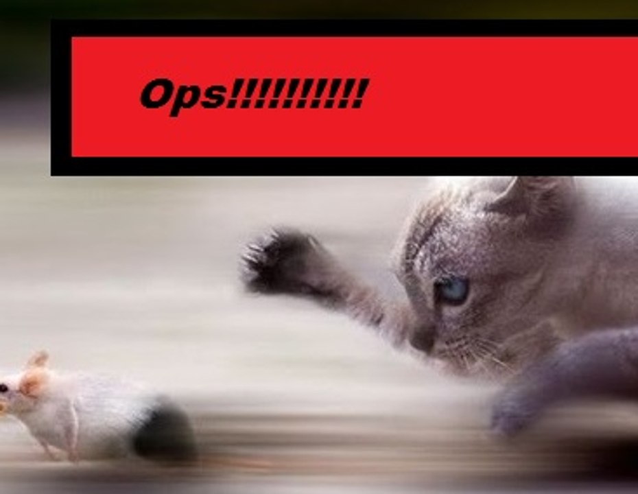 Contra Ataque!!!!!