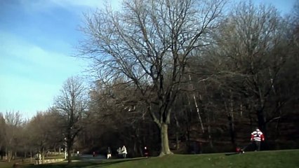 Stanno preparando un pic-nic, all'improvviso un'aquila reale plana e cattura il bambino