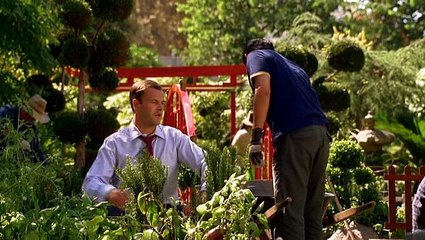 Eli Stone 2x05 The Humanitarian  Magyar Szinkron