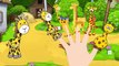 Finger Family Giraffe | Fun Animal Finger Family Nursery Rhymes Songs For Children