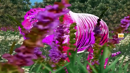 Tiger Finger Family | Lion Cheetah 3D Animated Finger Family Rhymes For Babies | Animals C