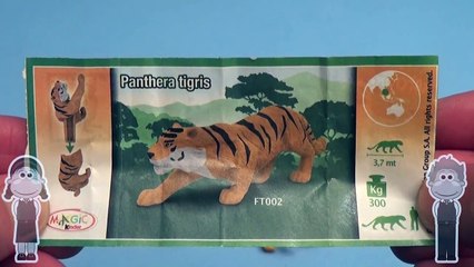 Fun Surprise Egg Opening Learning Game! Which One is Different with Kinder Surprise! Lesso