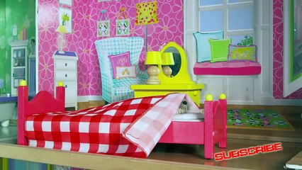 Tiny Dwarf Hamster in a Tiny Mansion