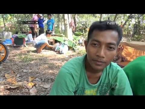 Lomba Karapan Kelinci di Sampang Jawa Timur NET5