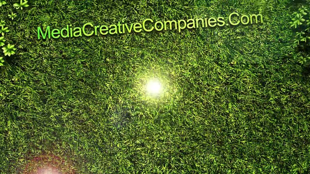 Media Creative Companies|Blog