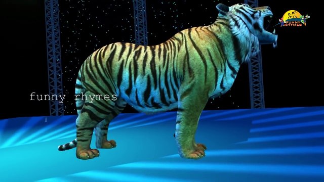 Learn About Animals - Animal Sounds - Learning Animals For Toddlers - Zoo Animals