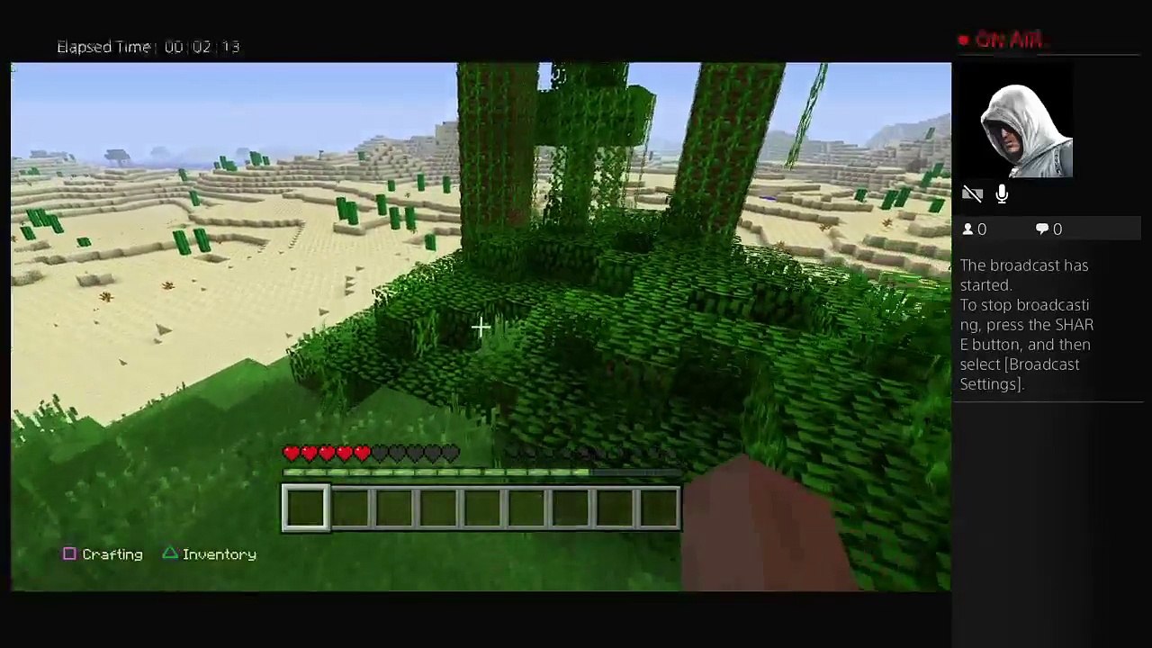 minecraft (22)