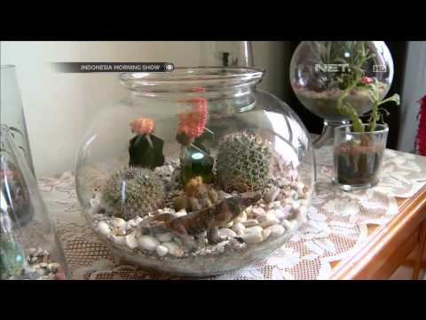 Terrarium wadah yang hias untuk ciptakan ekosistem kecil - IMS
