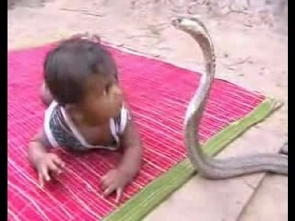 l'enfant et le cobra