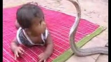 l'enfant et le cobra